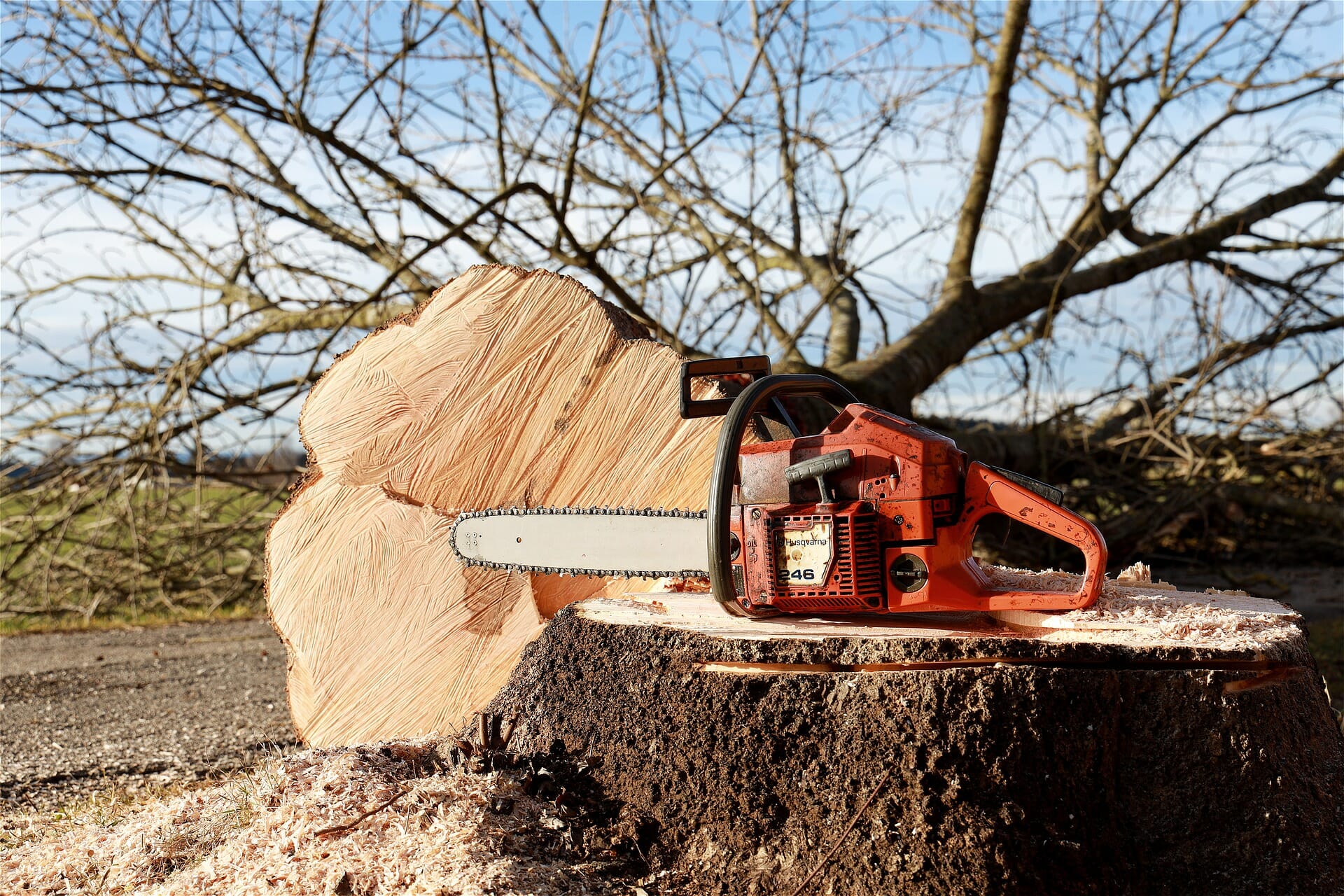 The History of the Chainsaw