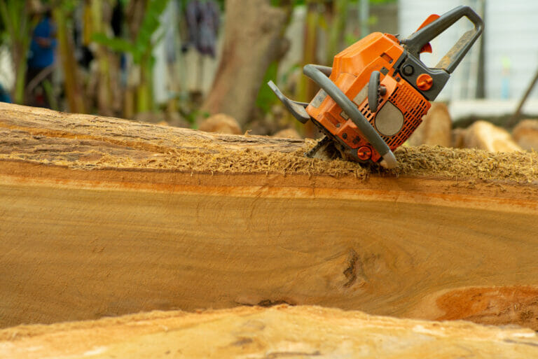 Best Chainsaw For Carving